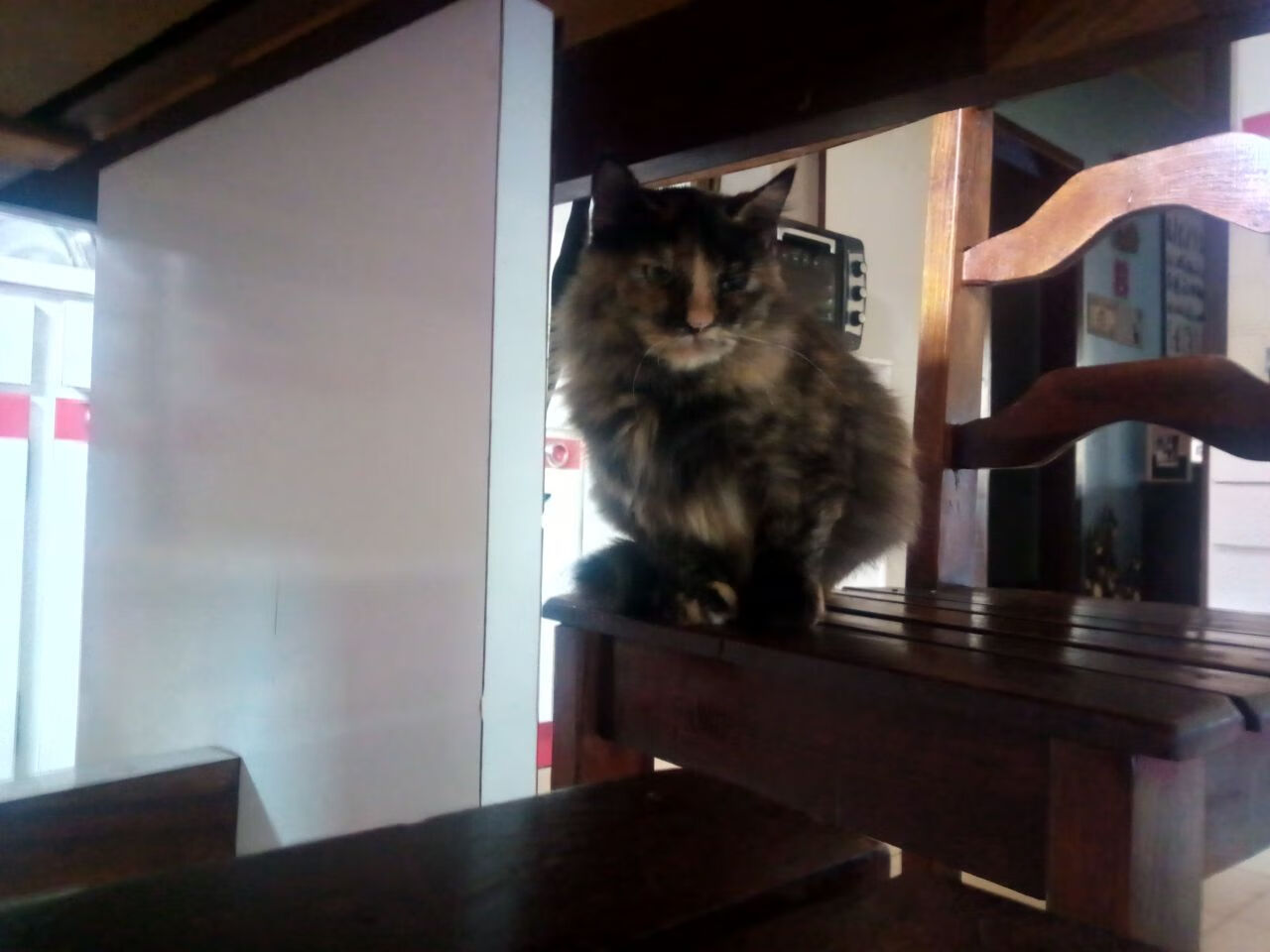 当新疆飞虎遇见绿军铁蹄，从德文·布克的节奏暴政，看中国篮球最缺失的一堂课