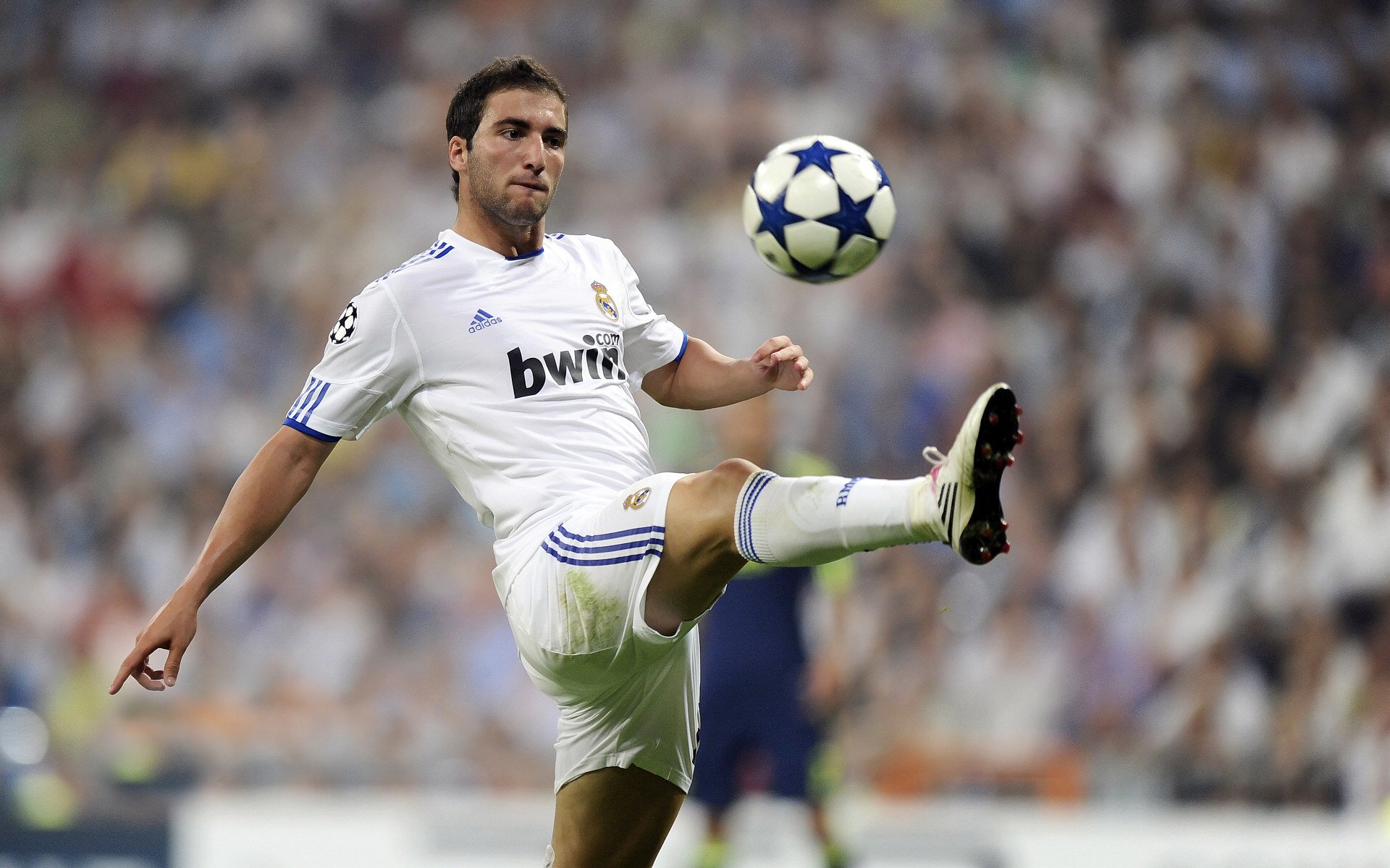 罗德里戈舞台越大越强！1球2助造3球，比利时5-0狂胜苏格兰